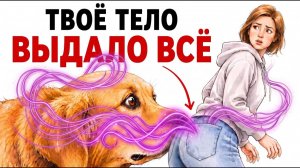 Если Ваша Собака НЮХАЕТ Попы, ВОТ ЧТО ЭТО ЗНАЧИТ!
