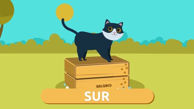 Preposition De Lieu