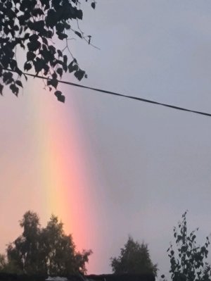 мы будем играть в клоуна с камнями вечером поздно