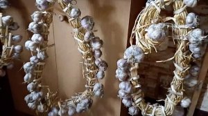Повесила сушить чеснок/«Ожерелье для вампиров» 🧛♂️/Простая жизнь в провинции/Россия 🇷🇺