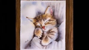 Мастер-класс по рисованию акварелью котенка для начинающих