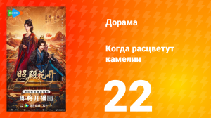 Когда расцветут камелии 22 серия