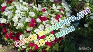 Обзор выходного дня 18-19 июля.