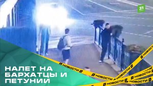 Налет на бархатцы и петунии. Клумба и кашпо на набережной Челябинска пострадали от вандалов