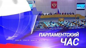 Как депутаты Госдумы закрывают лазейки для кибермошенников