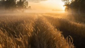 Матушка Русь — Сердце Родины.  Эпическая песня о любви к России