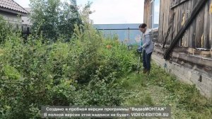 Построили домик для Арсюши. Приводим в порядок сад.
