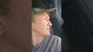Поехала кормить промысловых в ураган