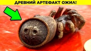 Удивительные Находки В Садах И На Задних Дворах