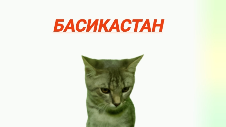 #БАСИКАСТАН