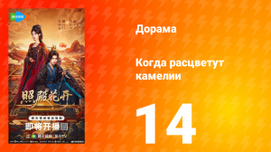 Когда расцветут камелии 14 серия