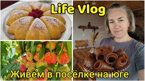 LIFE VLOG 🌞 Живём с посёлке на ЮГЕ🏡 Пастила из яблок, морковный пирог🥧