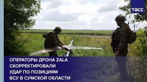 Операторы дрона ZALA скорректировали удар по позициям ВСУ в Сумской области
