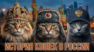 Как кошки захватили Россию ? От Руси до современности