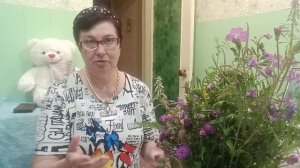ГРЯЗНАЯ ДУША ‼️ ДОМОСЕДА ‼️ И О МНОГОМ ДРУГОМ