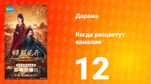 Когда расцветут камелии 12 серия
