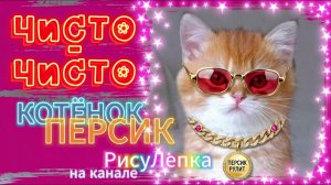 КОТЁНОК ПЕРСИК чисто-чисто