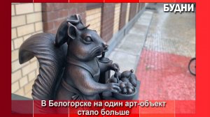 «Белка-продавец» поселилась в мкр. Транспортный