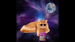 Радостные лица котиков шаблон супер расширение