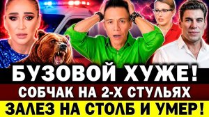 БУЗОВОЙ СТАЛО ХУЖЕ! Собчак на 2-х стульях. Что с Дюжевым? Умер актер «Ликвидации»