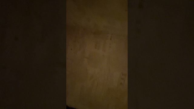video-27-07-26-08-02 смотреть онлайн