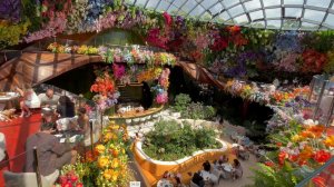 💐Парк Галицкого открытие самый красивый ресторан юга Сataleya.