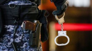 Треш-блогеру грозит до пяти лет за жестокое убийство голубя в Петербурге