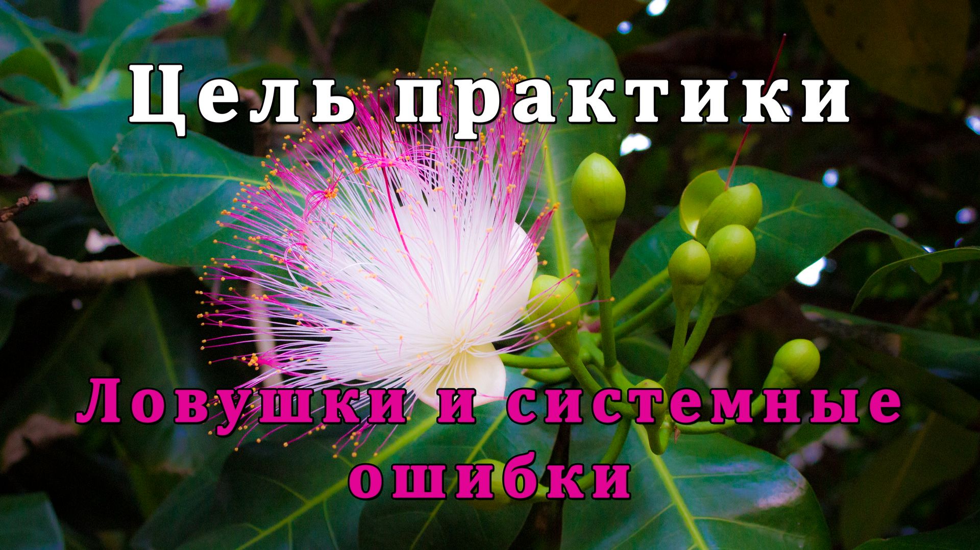 Цель практики. Ловушки и системные ошибки