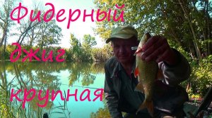 Фидерный джиг. Как я ловлю крупную плотву на реке. Оснастка патерностер.