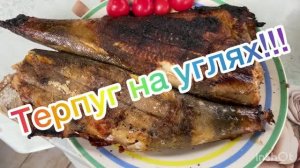 Терпуг на углях!