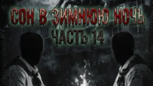 Мистические истории на ночь. Сон в зимнюю ночь... Часть 14
