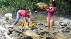 Добыча дикой рыбы с помощью водяных насосов. Везучая девушка ловит огромную стаю рыб.
