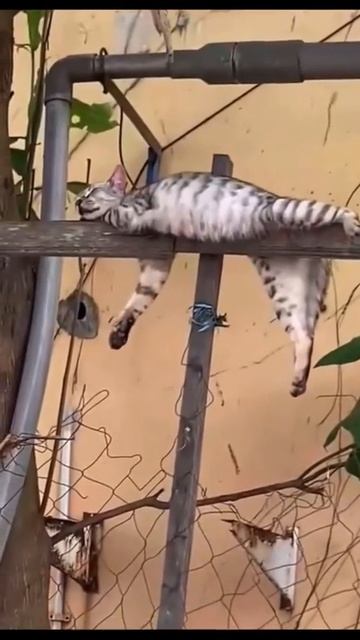 Все от жизни заберу