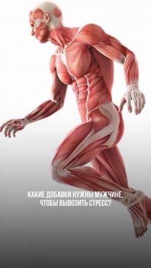 Как справляться со стрессом мужчине ?