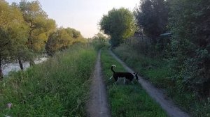 прогулка