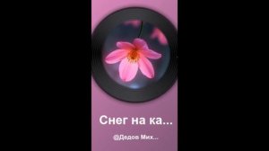 Снег на кассете