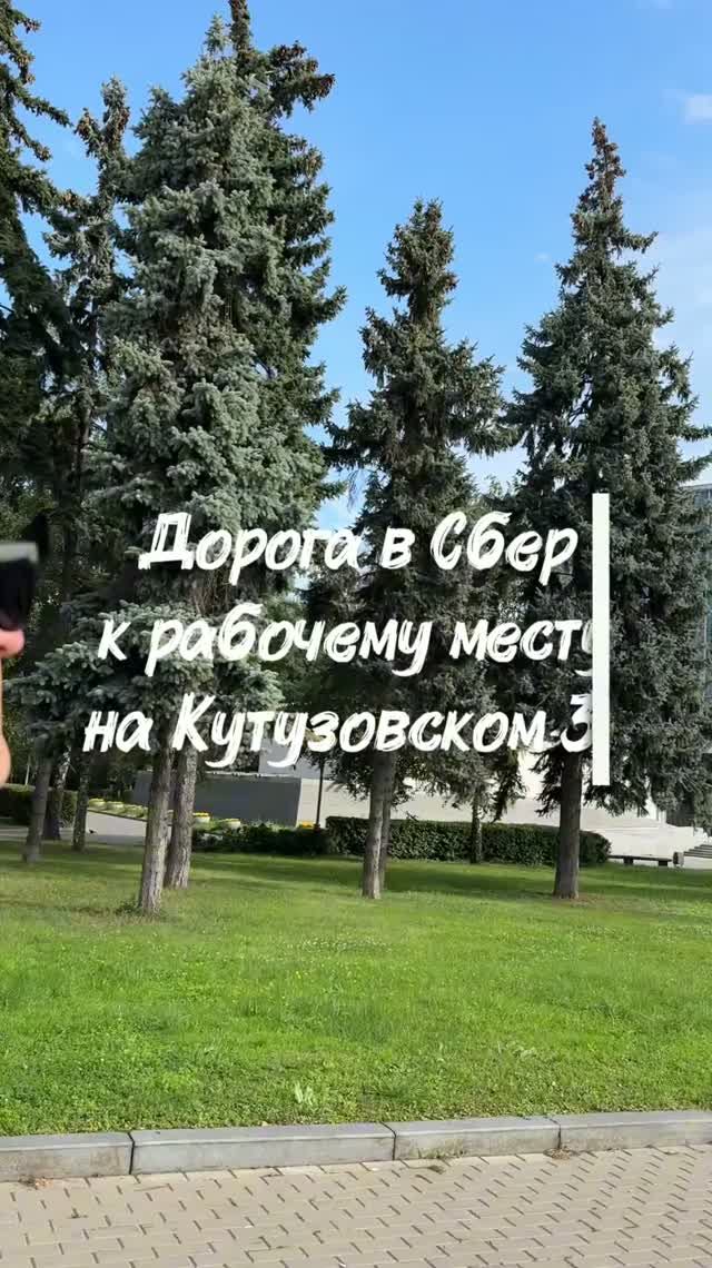 Вайб по дороге в офис Сбера