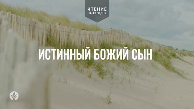 ИСТИННЫЙ БОЖИЙ СЫН  | АУДИО |	23	  августа 2026