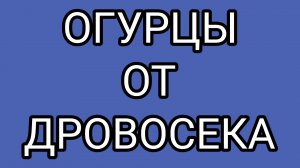 Как ДЕД июль из календаря вычеркнул