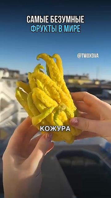 Самые безумные фрукты в мире смотреть онлайн