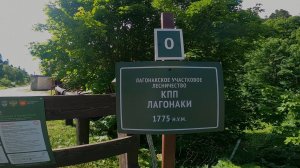 5 дней за 5 минут