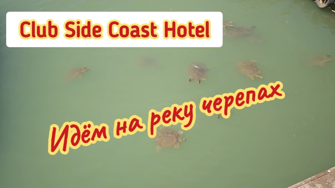 Club Side Coast Hotel, Как дойти на реку с черепахами.
