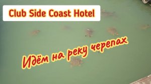 Club Side Coast Hotel, Как дойти на реку с черепахами.