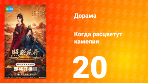 Когда расцветут камелии 20 серия