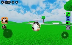 Как найти всех котостей ROBLOX