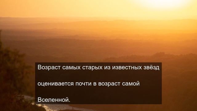 Приморские песни для ваших ушей 20 смотреть онлайн