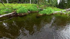 Супер Рыбалка С Лёхой. Часть Третья.