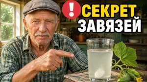 Всего 3 ТАБЛЕТКИ из аптечки - и Огурцы завалят урожаем! Листья не желтеют, а завязь прет как бешеная