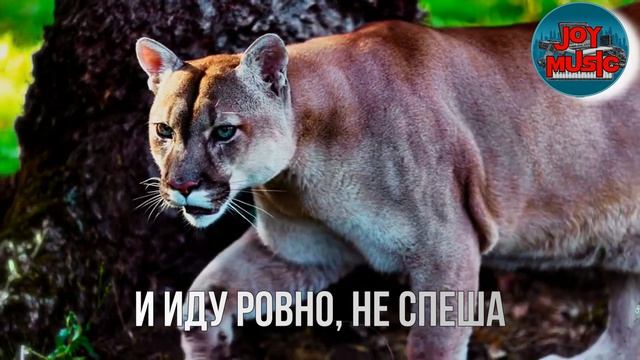 Меня сегодня