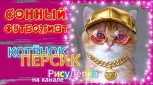КОТЁНОК ПЕРСИК сонный футболист